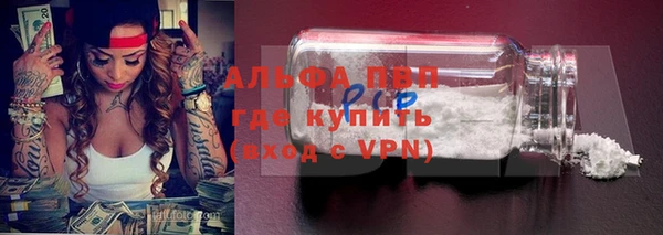СК Алексин