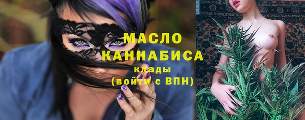 СК Алексин