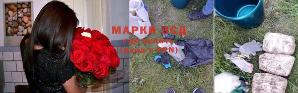 эйфоретик Новокубанск