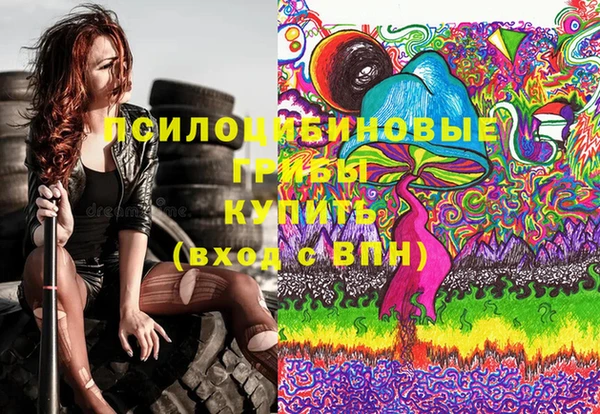 МДПВ Алексеевка